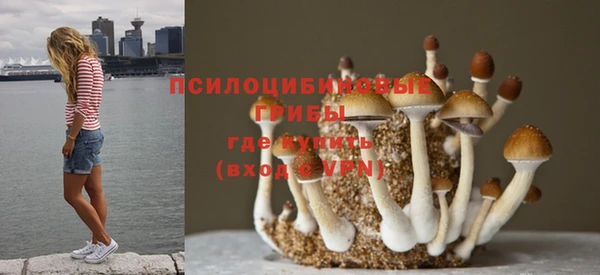 спайс Горнозаводск