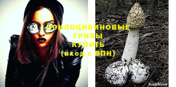 стафф Горно-Алтайск