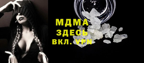 прущие грибы Горняк