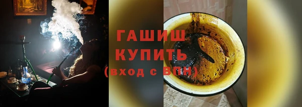 прущие грибы Горняк