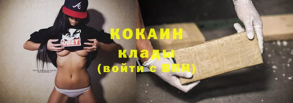 прущие грибы Горняк