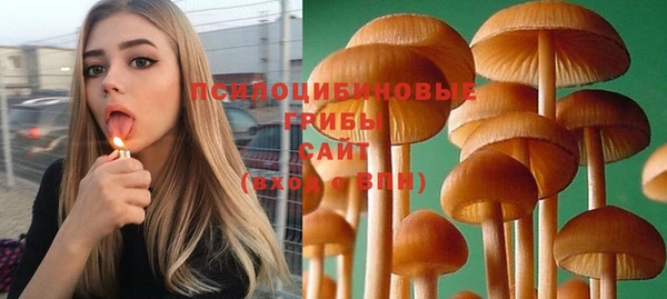 скорость mdpv Вяземский