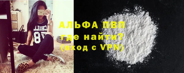 прущие грибы Горняк