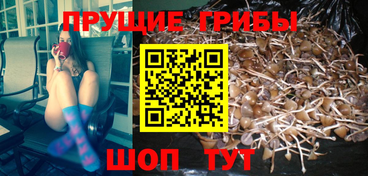 Галлюциногенные грибы MAGIC MUSHROOMS Вязники