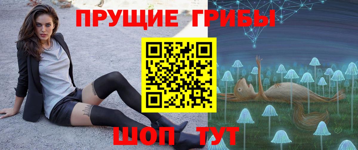 Галлюциногенные грибы Cubensis  Галлюциногенные грибы прущие грибы  Вязники  купить закладку  Вход с VPN 